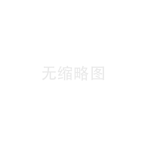 全合成—纯正柴油机油 CJ-4（10W-40)